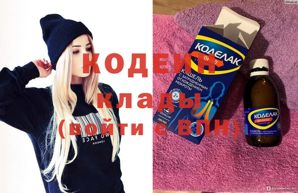 индика Нея