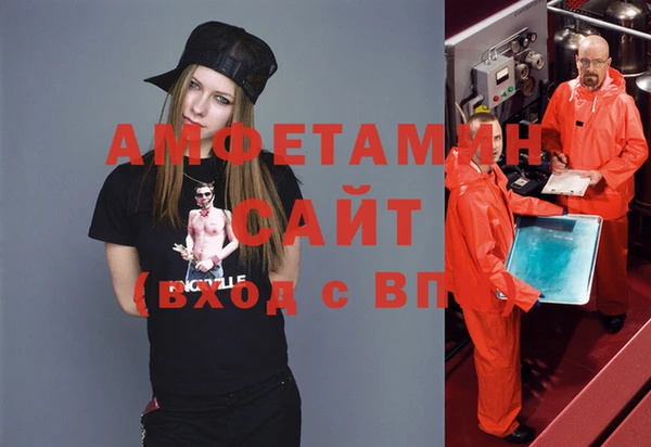 индика Нея