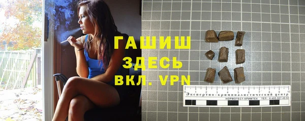 индика Нея